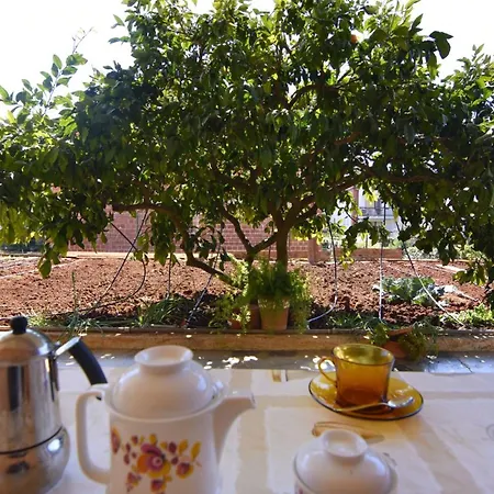 Quiet Retreat With Terrace Савудрия